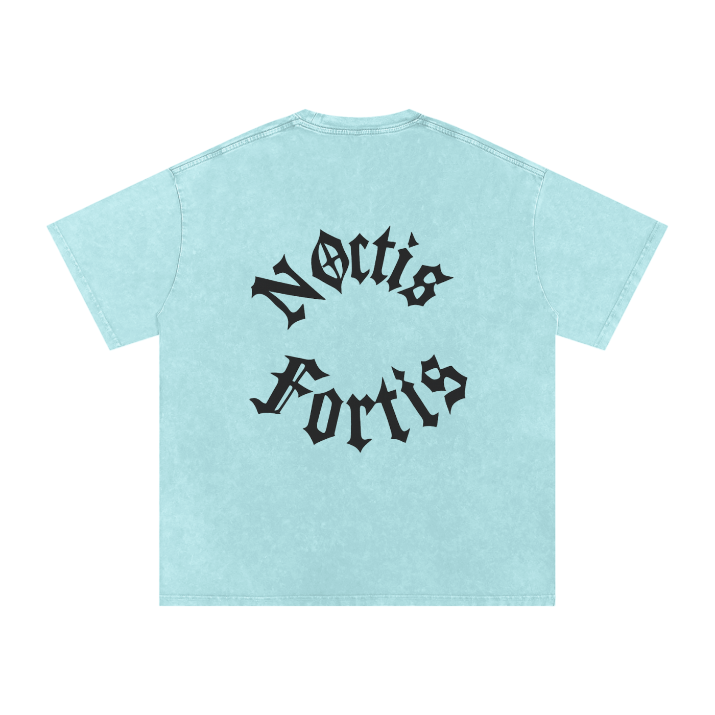 Basic Acid Wash Tee